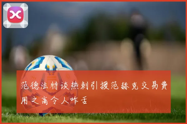 范德法特谈热刺引援范赫克交易费用之高令人咋舌